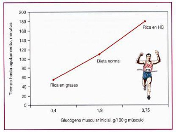 Papel de la dieta en el nivel de glucógeno muscular (López-Chicharro y Fernández, 2006)