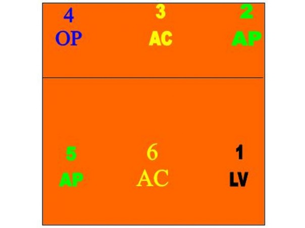 Representação das funções dos jogadores no sistema de jogo 5 x 1, na passagem de rodízio em que o levantador está na posição 1
