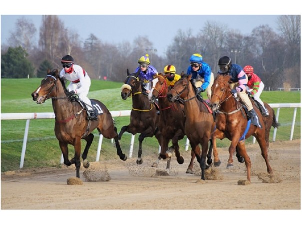 Las apuestas en las carreras de caballos en línea han alcanzado enorme popularidad