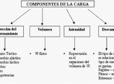 Planificación y control de las cargas de los ejercicios físicos