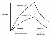 Motivación y aprendizaje motor: factores que influyen y estrategias