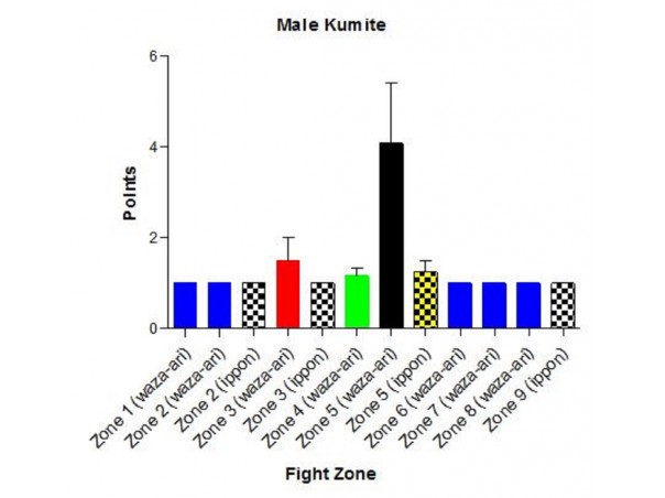 Fight zone with points during the male kumite