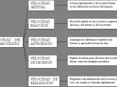 Las capacidades físicas y psicológicas involucradas en el automovilismo