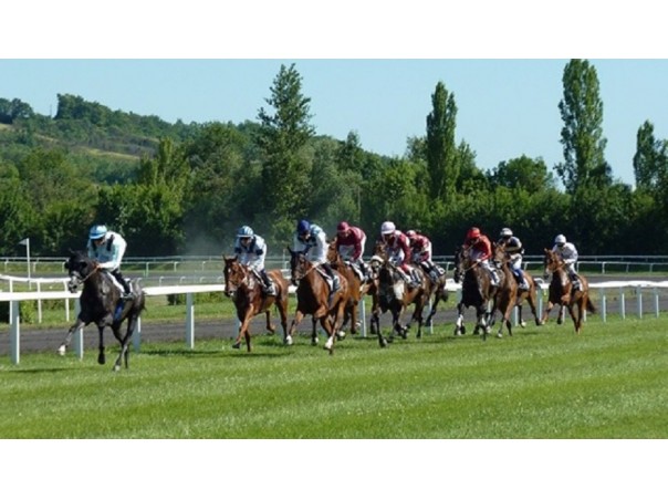 Las carreras de caballos cautivan al público y numerosas plataformas online que se dedican a las apuestas deportivas