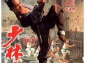 O kung fu chinês no Brasil: a influência dos filmes de ação em tal aderência